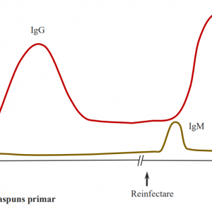 Analizor automat de imunologie CL-960i Mindray